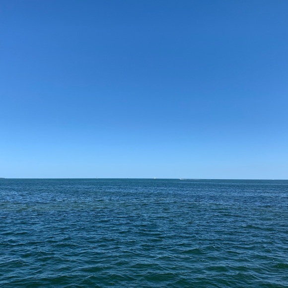 Meet your Posher, Miriam - Picture 1 of 1